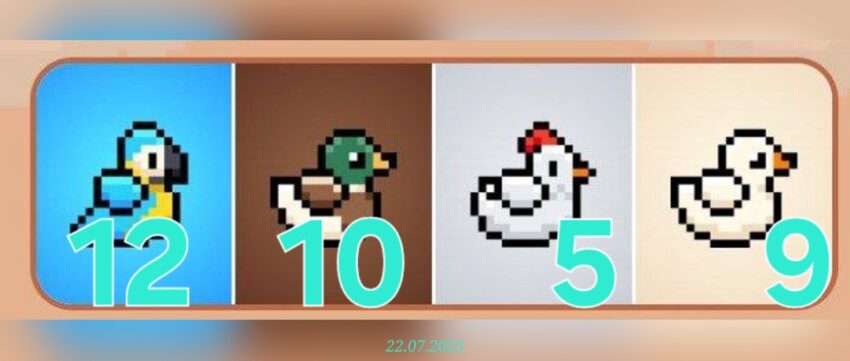 изображение для 🟢 #Bird Комбо 22.07