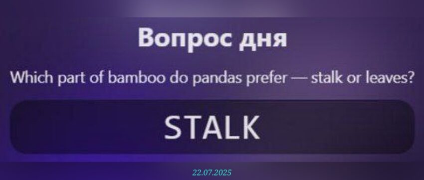 изображение для 🟢 #PandaFit Вопрос 22.07